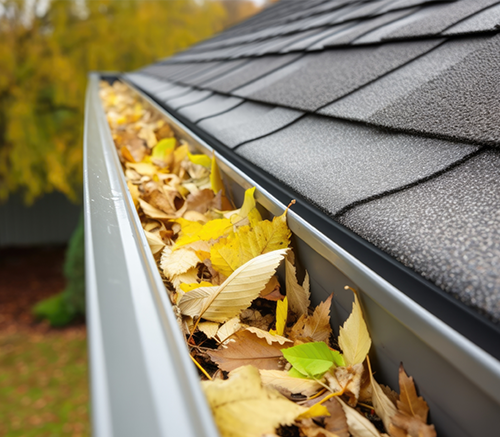 Gutter filled with autumn leaves