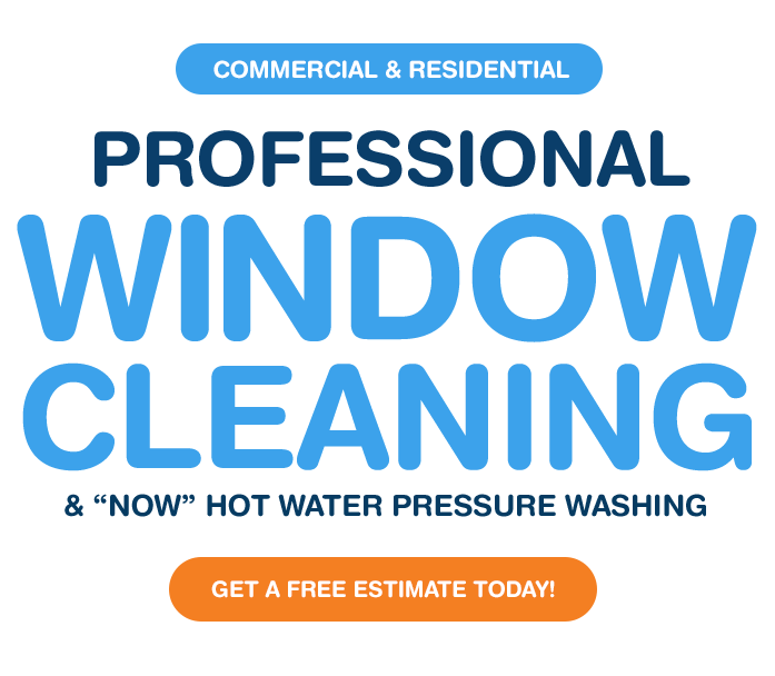 Professional window cleaning services